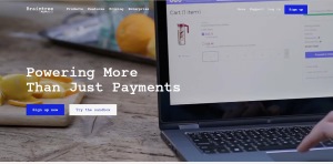 brain Tree Payments