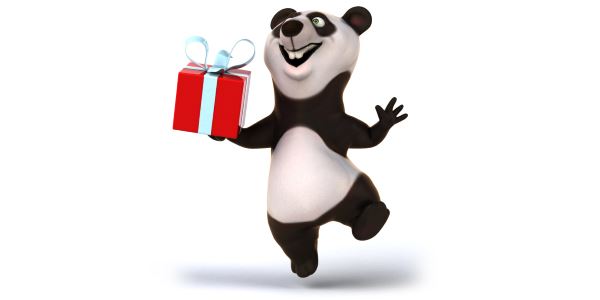 עדכון פנדה של גוגל panda